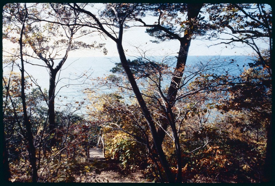 Stairs from Harbor's Rest 1985